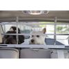 Worldwise Car Dog Guard K9K Aluminium Silver