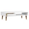 vidaXL Coffee Table MOLDE White 100x55x31 cm Solid Wood Pine