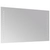 vidaXL LED Bathroom Mirror 30x50 cm