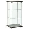 vidaXL Storage Cabinet Tempered Glass Black