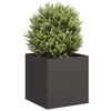 Product Thumbnail Image 2 of 9