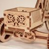 Wood Trick Wooden Scale Model Kit Bicycle