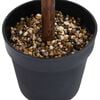Product Thumbnail Image 4 of 5