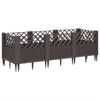 Product Thumbnail Image 4 of 8