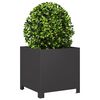 Product Thumbnail Image 3 of 10