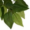Product Thumbnail Image 3 of 5