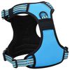 vidaXL Dog Harness with Reflective Stripes Adjustable Blue L