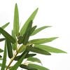 Product Thumbnail Image 2 of 4