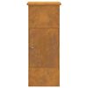 vidaXL Parcel Drop Box Rusty 44.5 x 29 x 110.5 cm Weathering Steel
