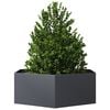 Product Thumbnail Image 8 of 10