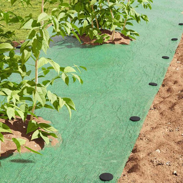 vidaXL Plastic Pegs 500 pcs Black &Oslash;3 x 11 cm Plastic