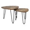 HSM Collection 2 Piece Coffee Table Set Dexter