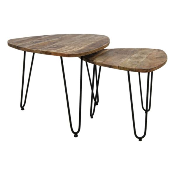 HSM Collection 2 Piece Coffee Table Set Dexter