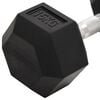 vidaXL Dumbbells 2 pcs 30 kg Total Cast Iron