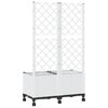 Product Thumbnail Image 5 of 8