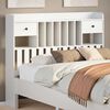 Product Thumbnail Image 2 of 10