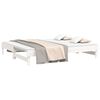 vidaXL Pull-out Day Bed without Mattress White 2x(90x200) cm