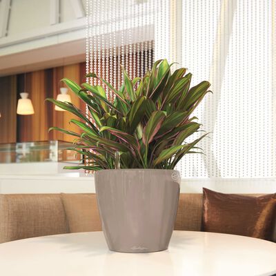 LECHUZA Planter CLASSICO LS 43 ALL-IN-ONE Taupe High Gloss 16085