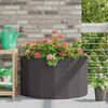 Product Thumbnail Image 2 of 12