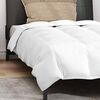 vidaXL Summer Duvet with Pillow 2 pcs White Down Feather
