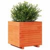 vidaXL Garden Planter Wax Brown 50x50x49.5 cm Solid Wood Pine