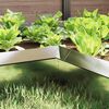 Product Thumbnail Image 3 of 11