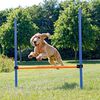 TRIXIE Agility Hurdle 123x115 cm Plastic 3207