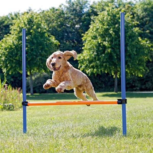 TRIXIE Agility Hurdle 123x115 cm Plastic 3207