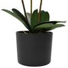 Product Thumbnail Image 3 of 5