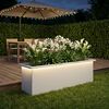 Product Thumbnail Image 3 of 13