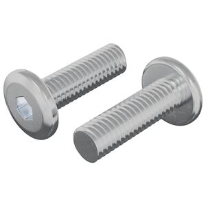 vidaXL Screw 2 pcs Silver 8 x 25 mm Steel