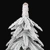 Product Thumbnail Image 5 of 8