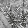 Komar Photo Mural Amazonia Black and White 400x250 cm