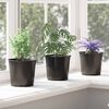 vidaXL Flower Pot 100 pcs Black &Oslash; 15 x 13 cm Plastic