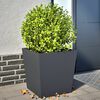 Product Thumbnail Image 2 of 12