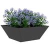 vidaXL Garden Planter Black 40 x 40 x 15 cm Cold-rolled Steel