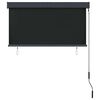 vidaXL Outdoor Roller Blind 120x250 cm Anthracite