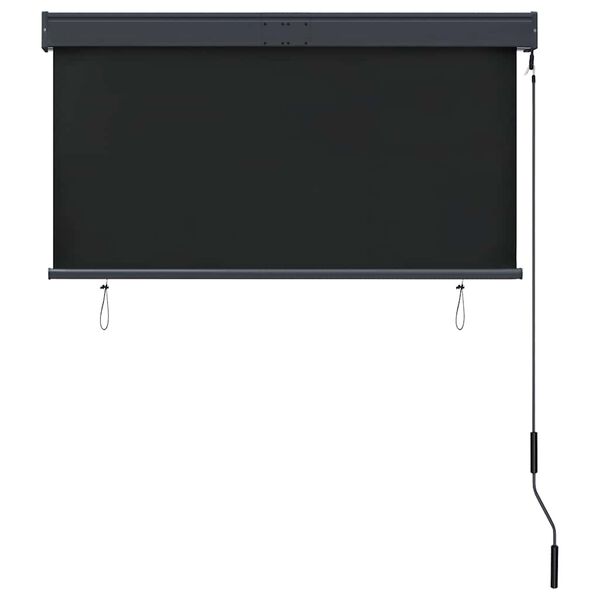 vidaXL Outdoor Roller Blind 120x250 cm Anthracite