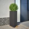 Product Thumbnail Image 2 of 12
