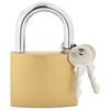 vidaXL U Lock with Keys 12 pcs Brass Iron