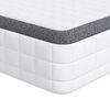 vidaXL Mattress White and Grey 90 x 200 cm Bonell Spring