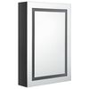 vidaXL LED Bathroom Mirror Cabinet Shining Black 50x13x70 cm