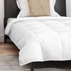 vidaXL 2-in-1 Duvet with Pillow 2 pcs White Down Feather
