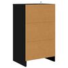 vidaXL Bedside Tables 2 pcs Black 40 x 30 x 467 cm Engineered Wood