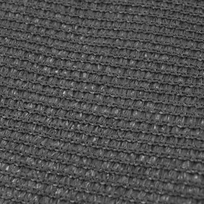 vidaXL Tent Carpet 250x400 cm Anthracite