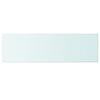 vidaXL Shelves 2 pcs Panel Glass Clear 100x30 cm