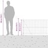 Product Thumbnail Image 17 of 17