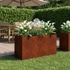 Product Thumbnail Image 2 of 10