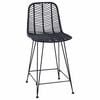 vidaXL Bar Chair 2 pcs Black 44.5 x 54.5 x 97.5 cm Rattan and Iron