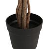 Product Thumbnail Image 3 of 5